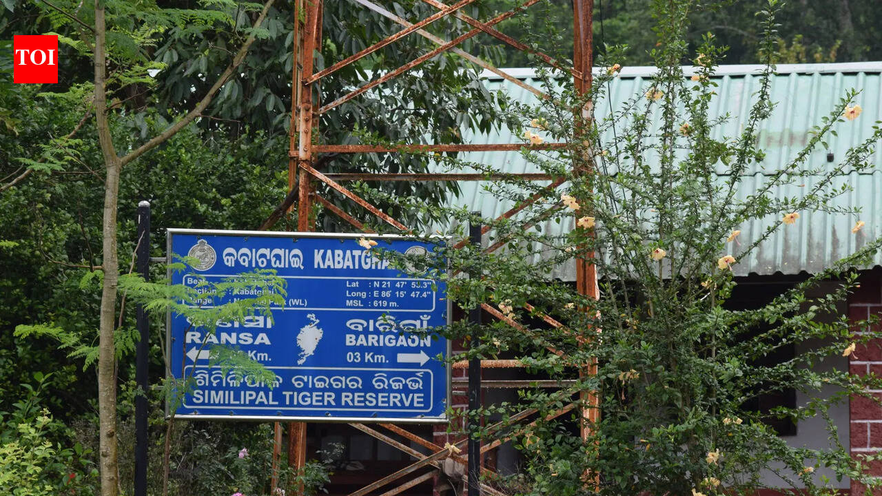 11 get 4 years’ jail for poaching tusker in Similipal