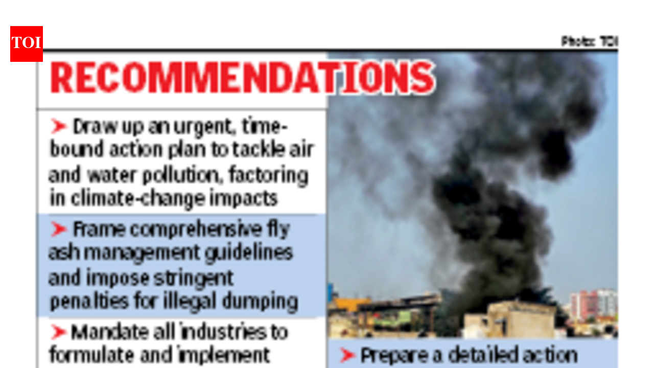 House panel to govt: Ensure industries obey green norms