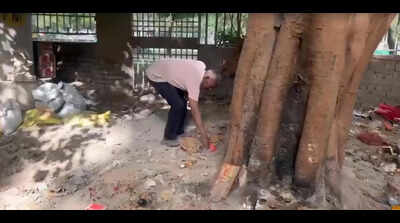 FIR against guest house caretaker for burning garbage, damaging tree