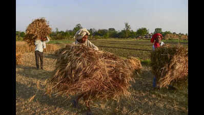 Rain, winds turn weather pleasant; farmers worried