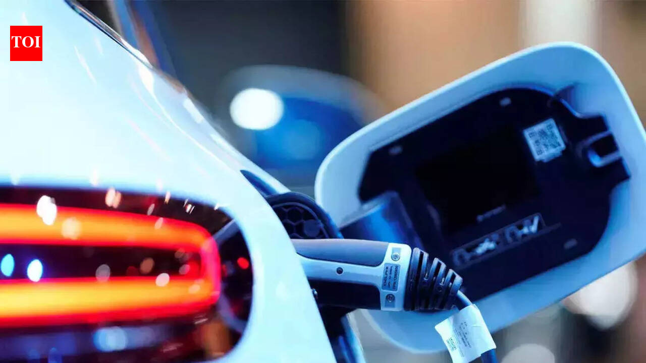 Goa proposes subsidy for all EV buyers, drops cap