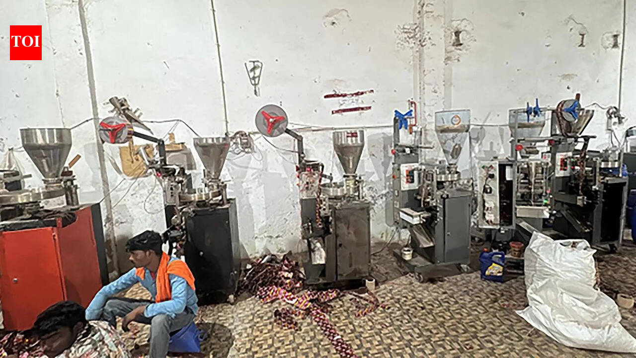 Pan masala unit busted for Rs 10-crore tax evasion in Haryana, covert machines seized; one held