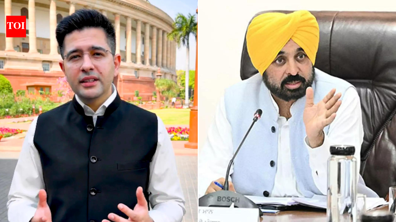 Won’t be cowed, says Raghav, AAP brass says he indulged in ‘soft PR’