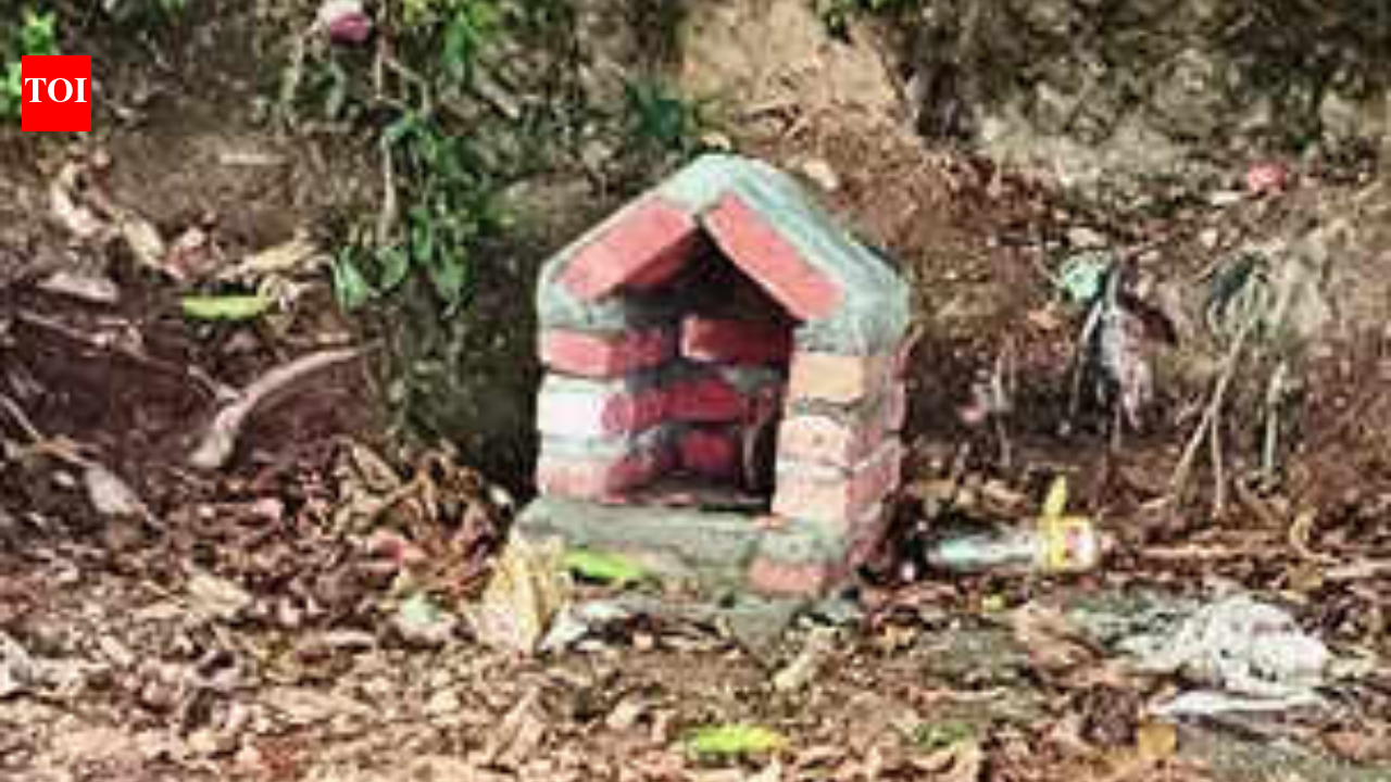 Uttarakhand school collects money from students, builds ‘ghost temple’