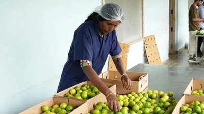 GI applications cross 2,000 mark on Centre’s push