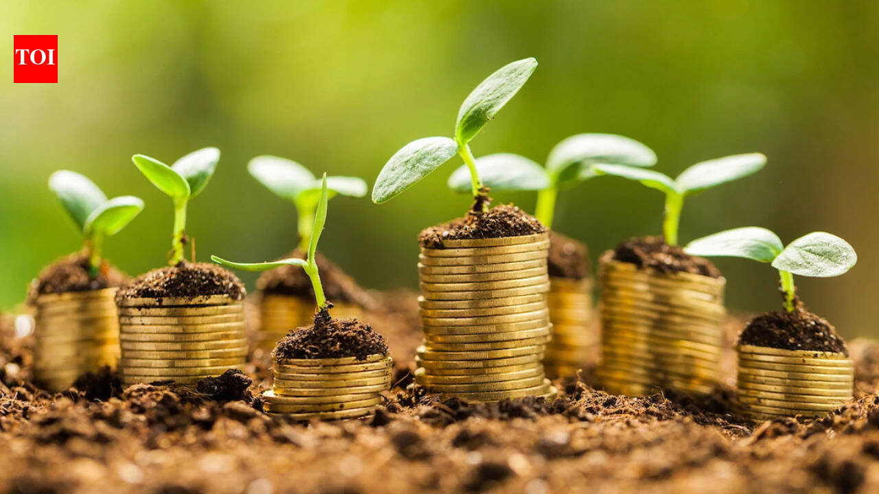 Microfinance replaces informal credit: Report