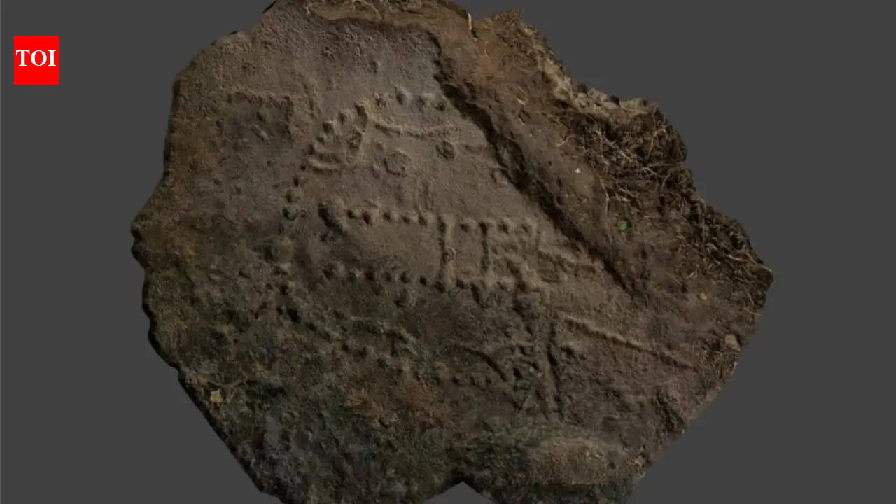 A 1,000-year-old structure found under Norway’s sea may reveal how whales were once trapped