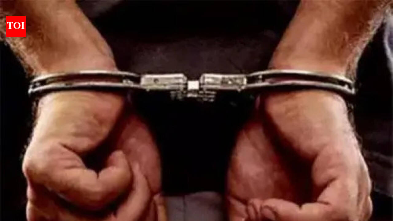 Delhi Police busts racket repackaging and selling expired soft drinks, biscuits; 3 held