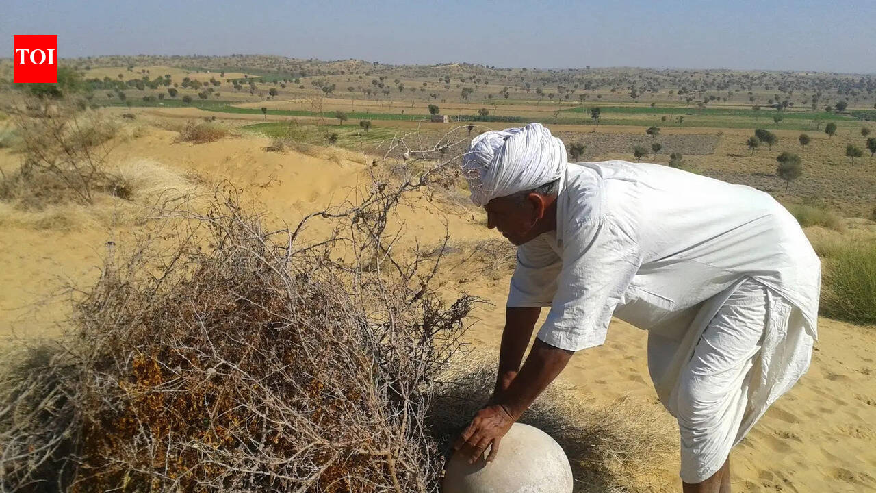 This Rajasthan farmer planted 27,000 trees in the desert and stopped sand from swallowing his village