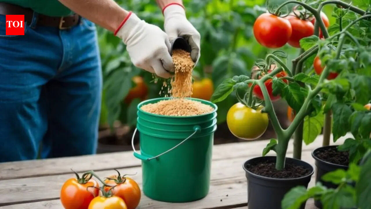 Going on vacation? Don’t water your plants; try this home gardening hack