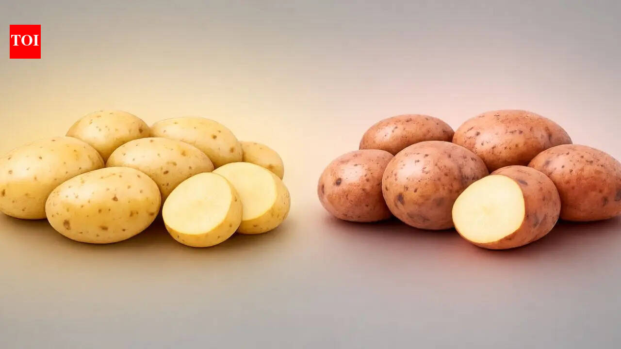 Chandramukhi vs Jyoti potatoes: Texture, taste, price and best uses that can completely change your Bengali cooking | – The Times of India