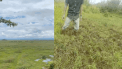  Inside world’s only floating national park, Keibul Lamjao in Manipur