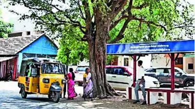 Politicos campaigning in this Tamil Nadu village must take back every flag, poster when they leave