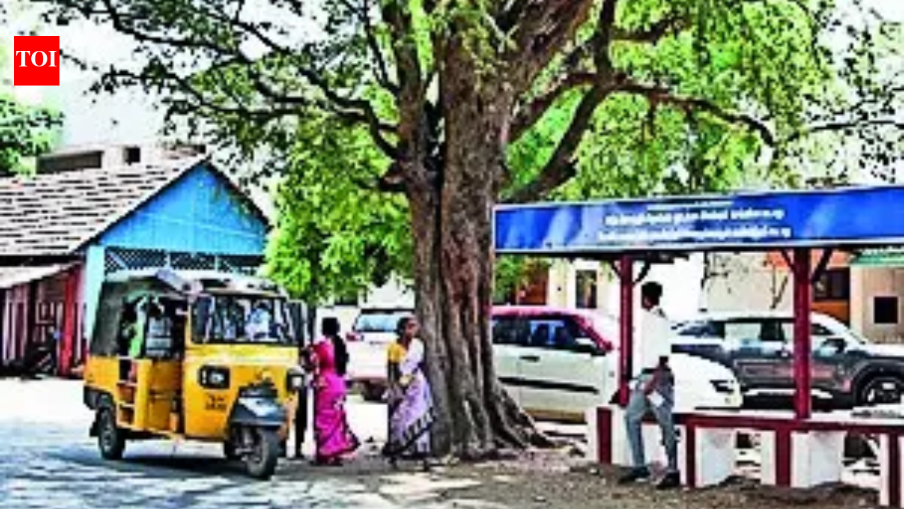 Politicos campaigning in this Tamil Nadu village must take back every flag, poster when they leave
