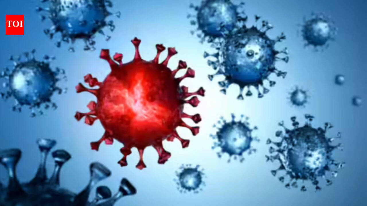 New covid ‘Cicada’ variant may be affecting children more: Here’s how to reduce risk and stay prepared