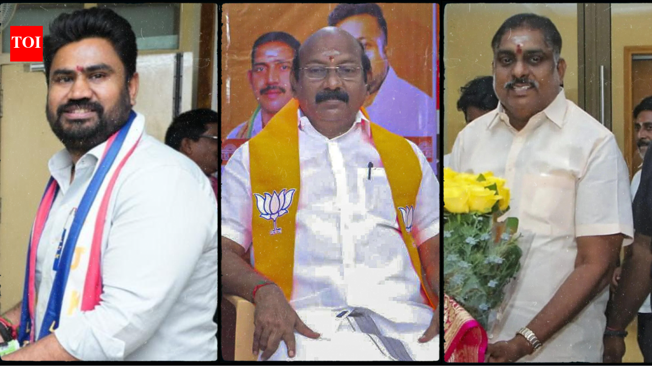 Puducherry polls: Over 40% candidates are 'crorepatis'; how big is the wealth gap