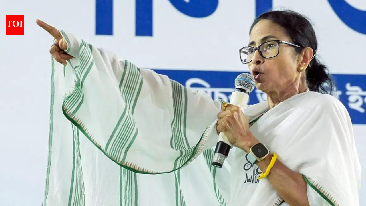'BJP to take away Lakshmi Bhandar money': CM Mamata to woman voters in Bengal