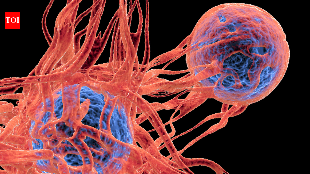 Early cancer symptoms that often feel harmless: Warning signs people ignore and when to see a doctor - The Times of India