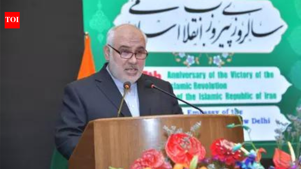 'Special measures in place to ensure safe passage of ships from friendly nations like India': Iran envoy