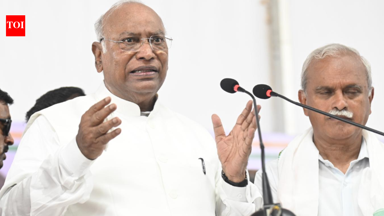 Puducherry will be granted statehood when Rahul Gandhi becomes PM, Mallikarjun Kharge says