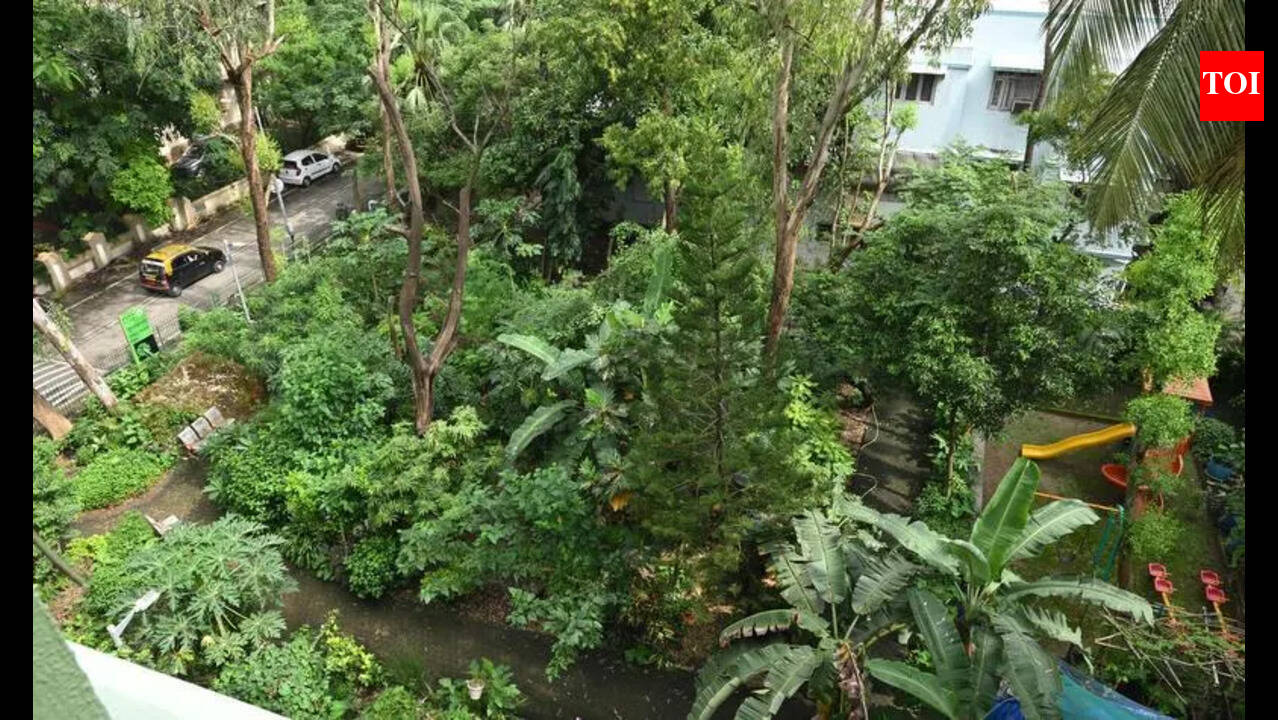 photo.jpg