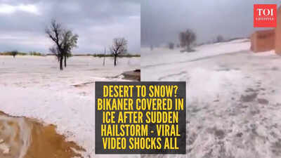 ‘Not Kashmir!’ Bikaner looks snow-white after rare hailstorm, internet can’t believe it