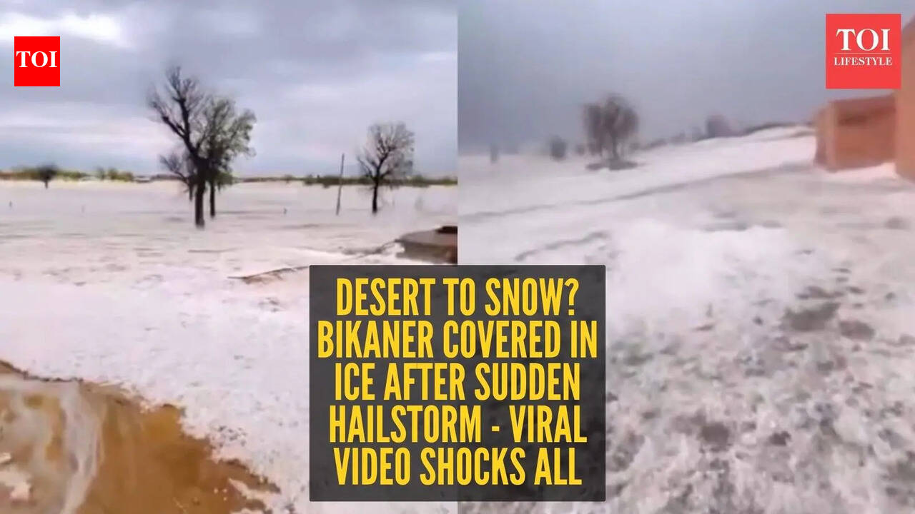 ‘Not Kashmir!’ Bikaner looks snow-white after rare hailstorm, internet can’t believe it