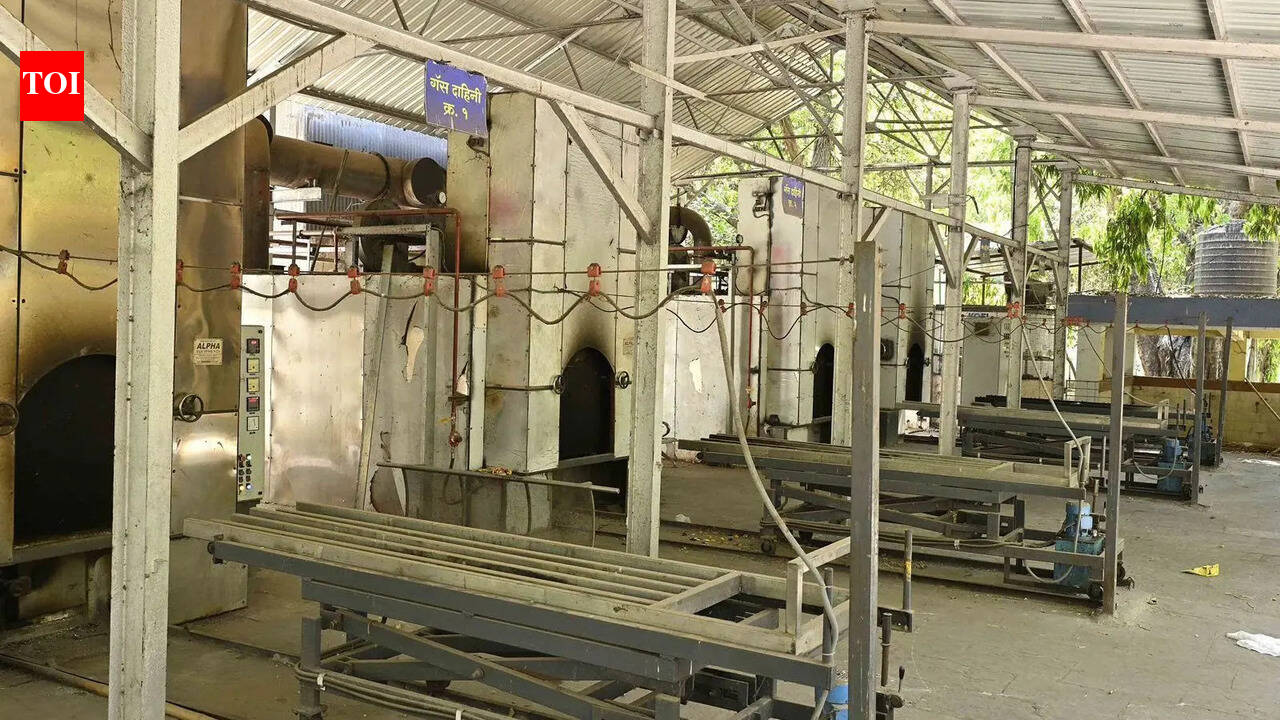 Gas-based crematorium planned at Digha Ghat