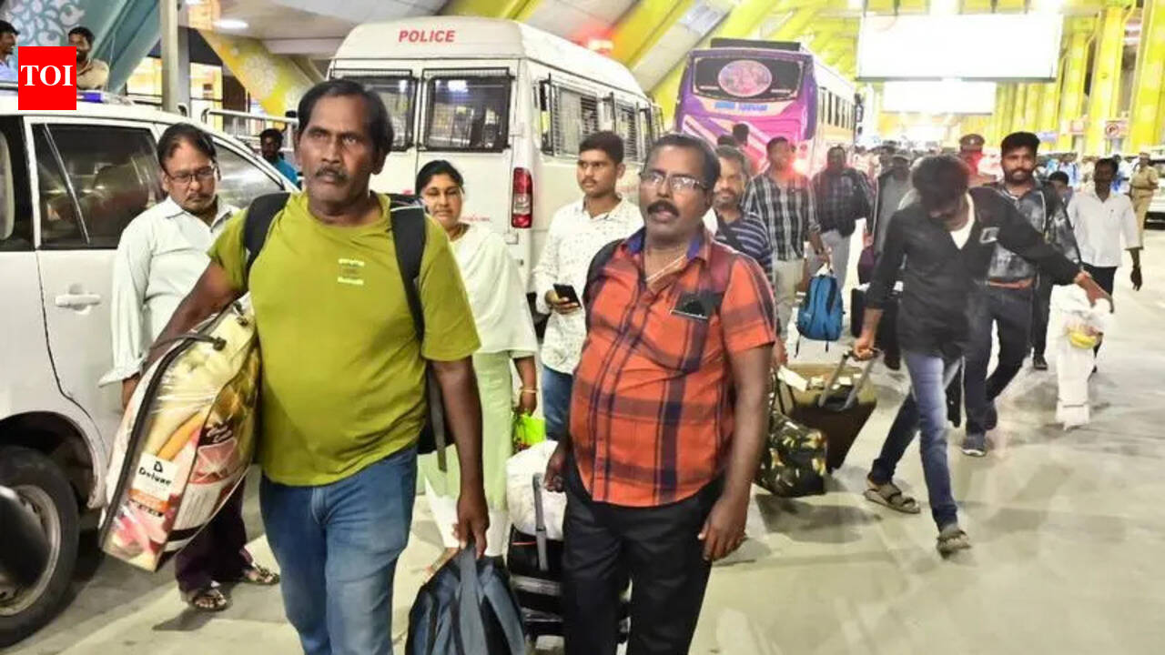 The Times of India - Politics - News Image