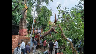 Storm, hailstorm wreak havoc in Kanpur; 2 killed, several Injured ...