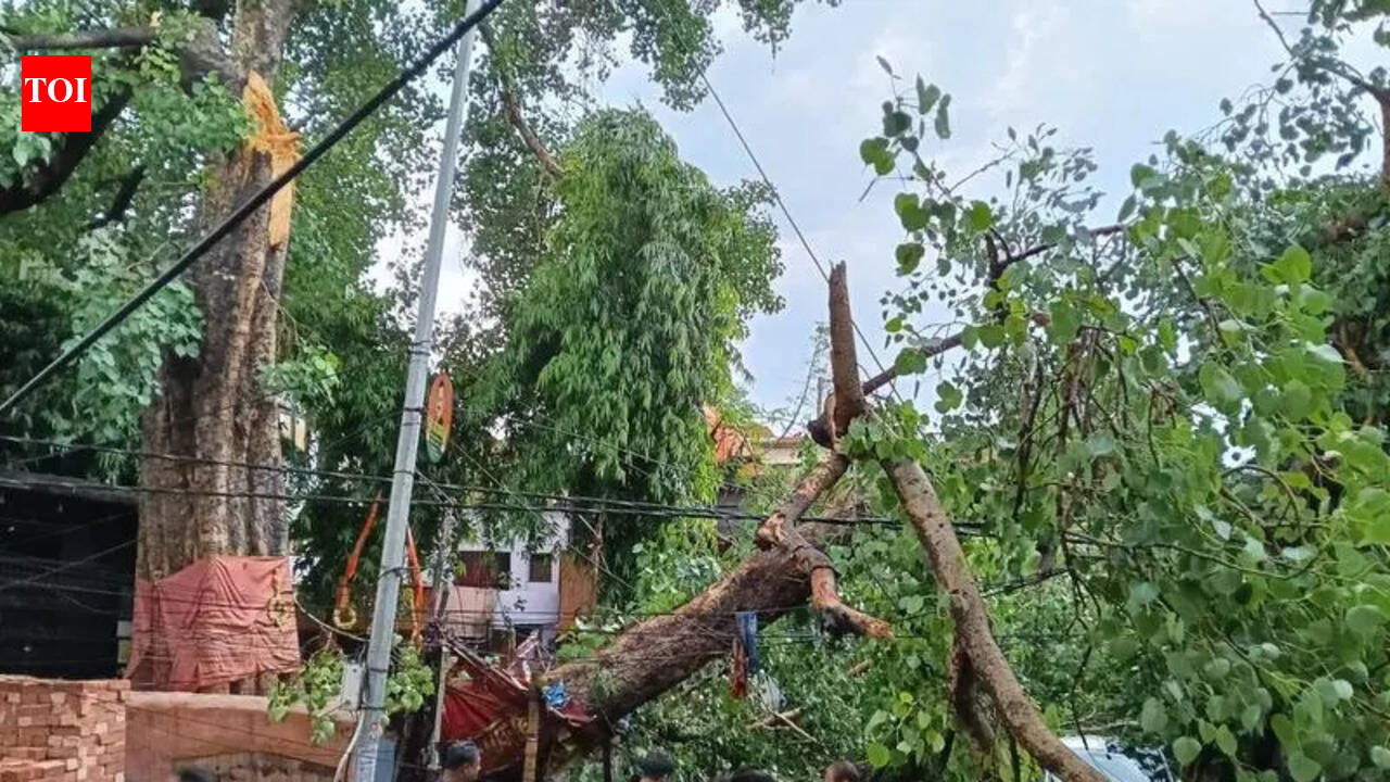 Storm, hailstorm wreak havoc in Kanpur; 2 killed, several Injured ...