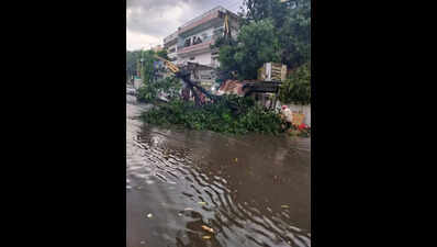 Rain, hailstorm bring relief from heat in Kanpur