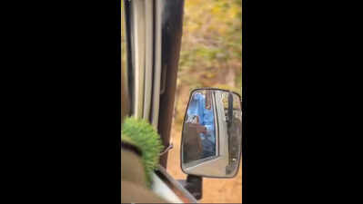 MLA fined Rs 5k for carrying phone during Tadoba safari