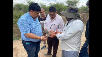 Temple ruins shed new light on Shekhawati history