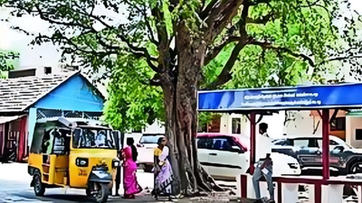 A village that rejects freebies & doesn't allow political advertisements