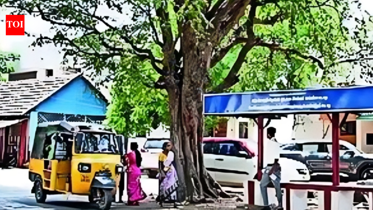 A village that rejects freebies &amp; doesn't allow political advertisements