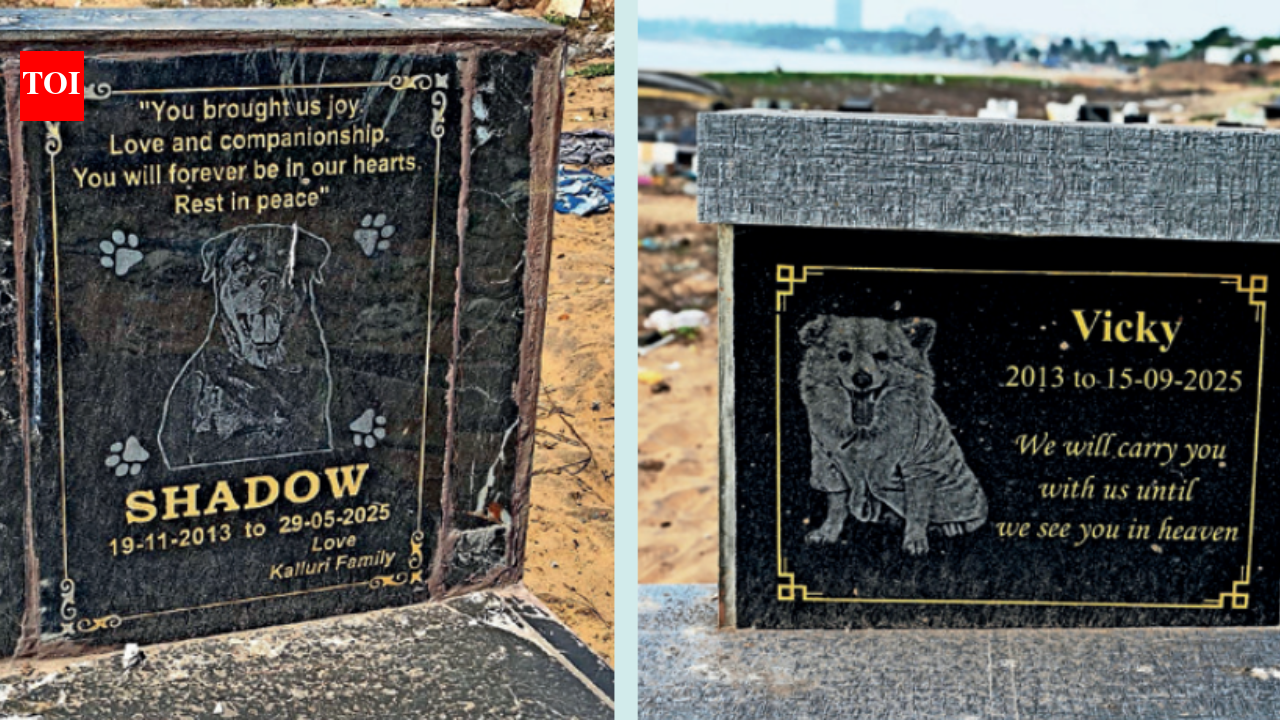 For pet's sake: Visakhapatnam’s cemetery with poetic epitaphs tell tails of lost love