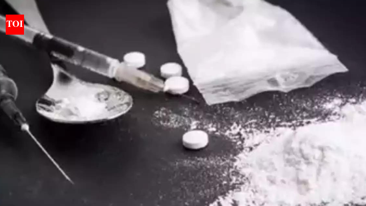 Courier parcels from France, Belgium fuelled drug racket across Indian cities