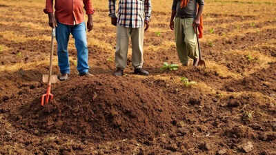 'Stalker' buried alive by woman's boyfriend and aides; 2 juveniles detained, 3 arrested