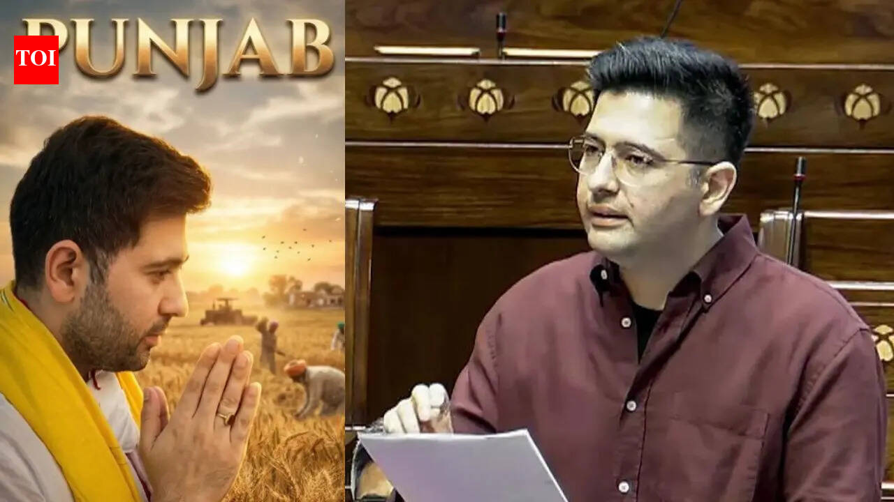 'Small trailer, picture abhi baaki hai': MP Raghav Chadha shares 3rd video message for AAP