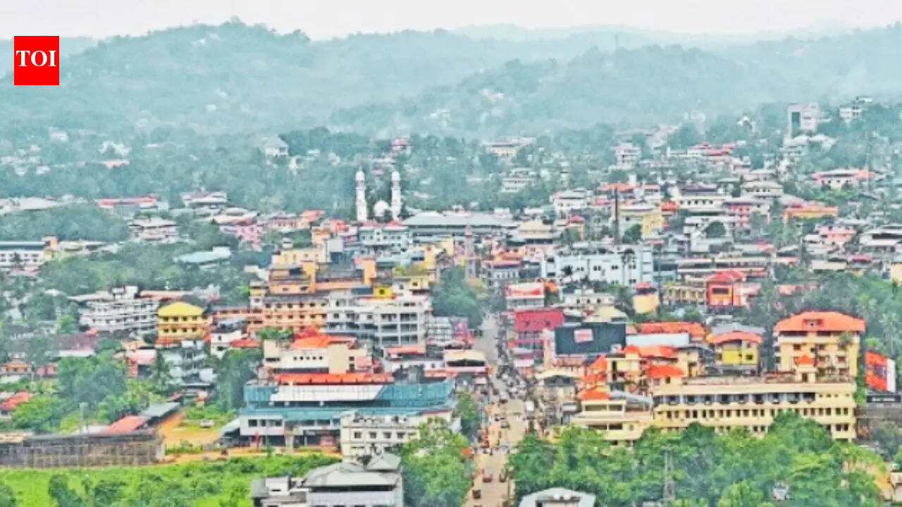 Three-way fight in Kerala's Aranmula constituency: Will Sabarimala tip the scales?