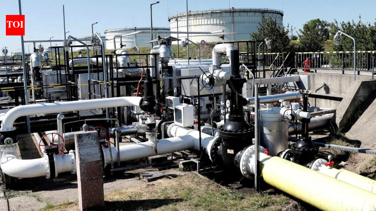 Russia downs Ukrainian drones; debris damage oil pipeline near Baltic port