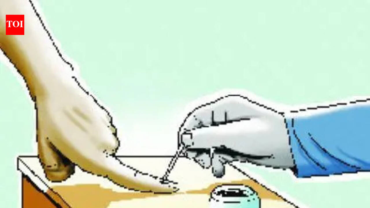 The Times of India - Politics - News Image