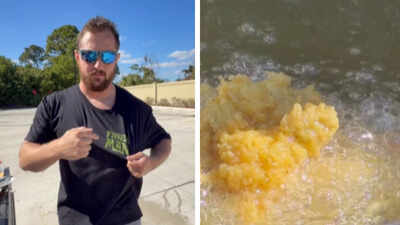  Florida man cooks invasive green iguanas with waffles in bizarre viral video