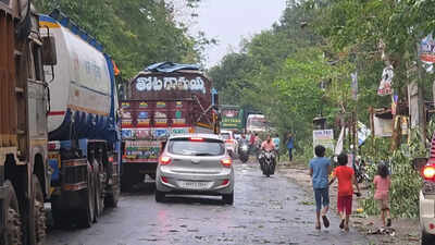 Nor’wester snaps road links in Odisha districts, uproots trees
