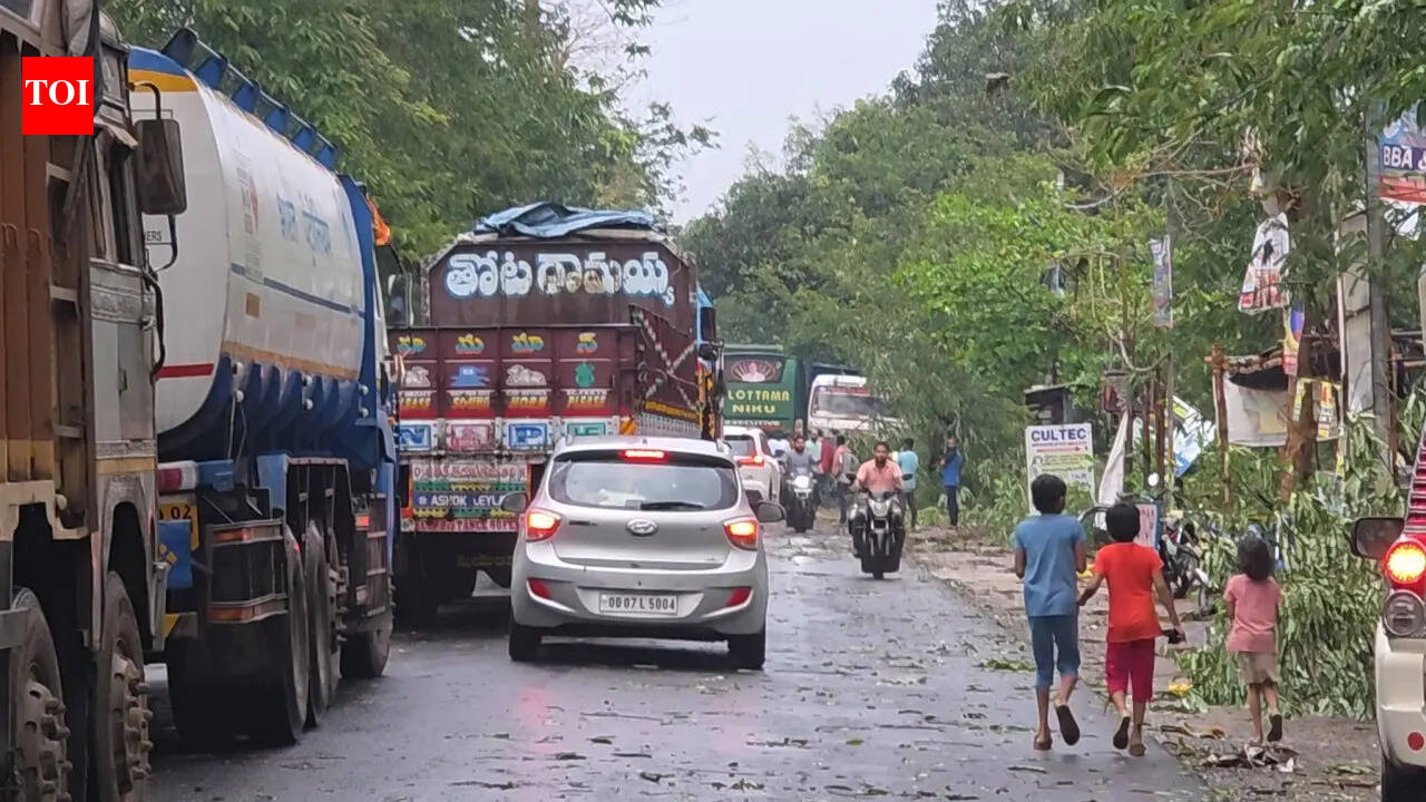 Nor’wester snaps road links in Odisha districts, uproots trees