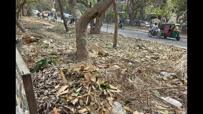 Greenbelt between sectors 9 & 9A in Gurgaon turns dumping ground, residents allege neglect