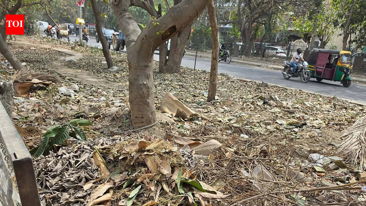 Greenbelt between sectors 9 &amp; 9A in Gurgaon turns dumping ground, residents allege neglect