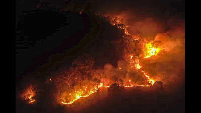 Lowest-ever fire points in Odisha forests this year