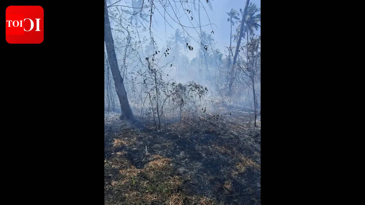 Fire at Honda plantation, Rs 80,000 loss estimated